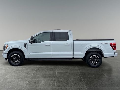 Used 2023 Ford F150 XLT w/ Equipment Group 302A High AWD/4WD image 5