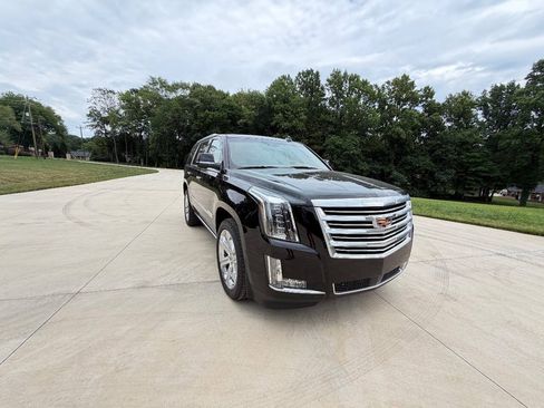 Used 2016 Cadillac Escalade Platinum AWD/4WD image 1