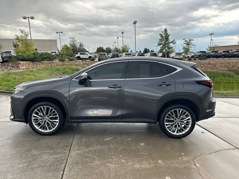 Used 2025 Lexus NX 350 AWD w/ Accessory Package (2T) image 6