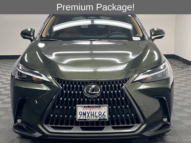 Certified 2025 Lexus NX 350h AWD w/ Cold Area Package image 3