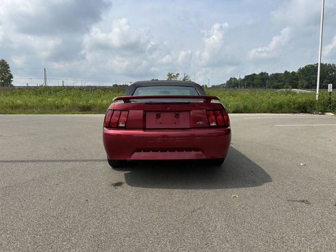 Used 2003 Ford Mustang Convertible RWD image 4