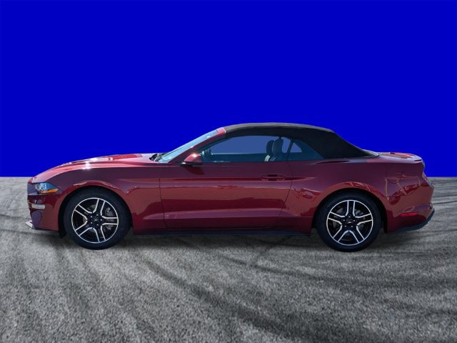 Used 2018 Ford Mustang Premium RWD image 7