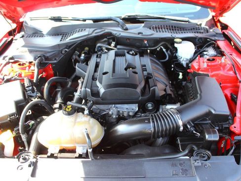 Used 2019 Ford Mustang Coupe w/ Equipment Group 101A RWD image 8
