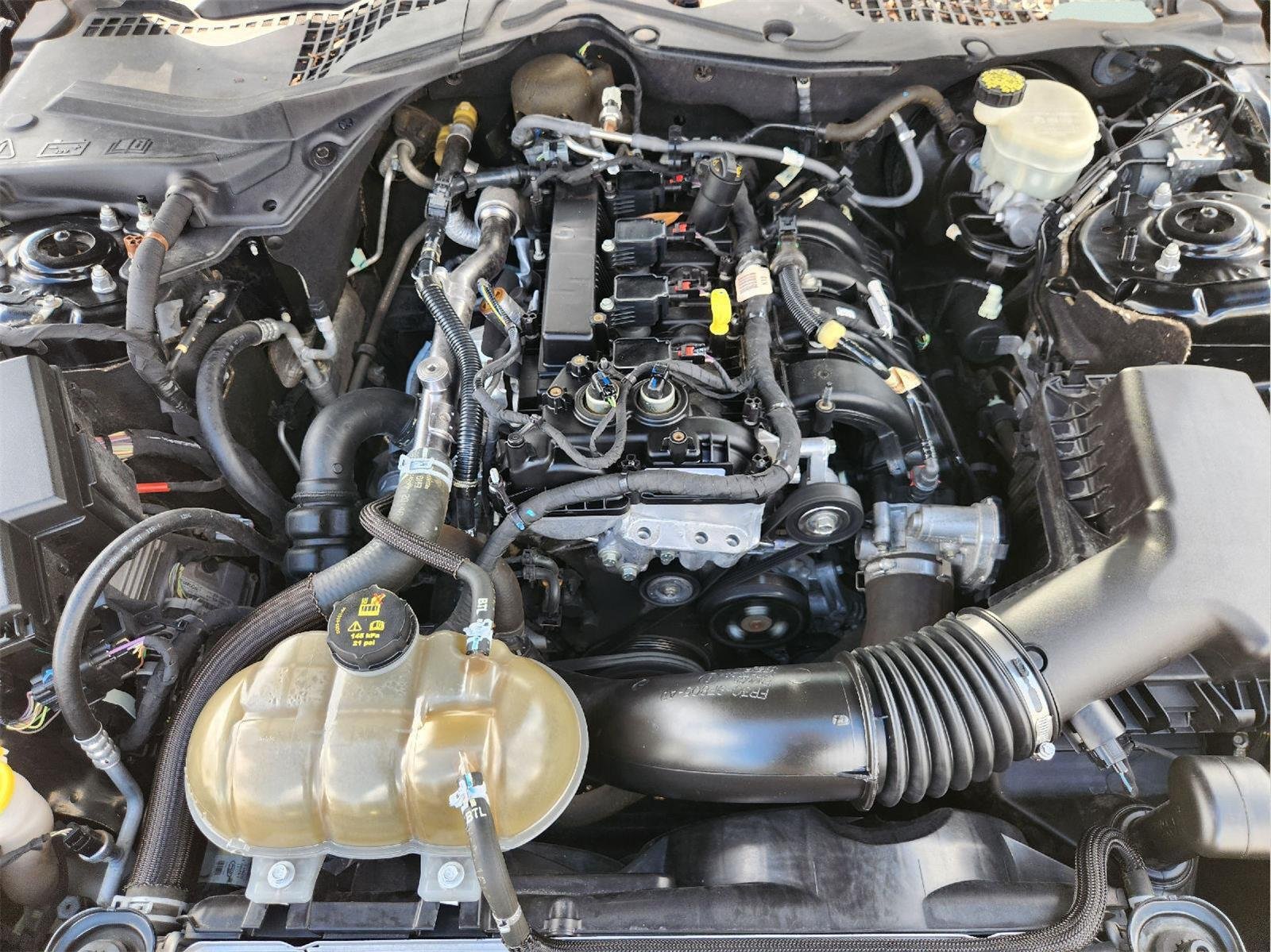 Used 2017 Ford Mustang Coupe RWD image 32