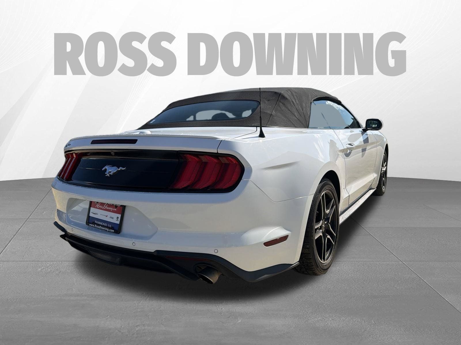 Used 2022 Ford Mustang Premium RWD image 4