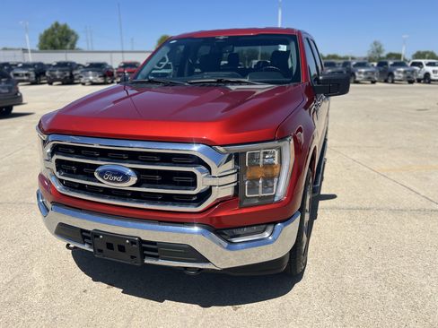 Used 2023 Ford F150 XLT w/ Equipment Group 302A High AWD/4WD image 14