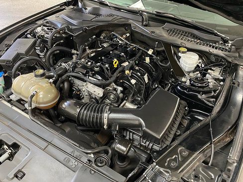 Used 2021 Ford Mustang Premium image 17