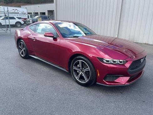 Certified 2025 Ford Mustang Premium image 4