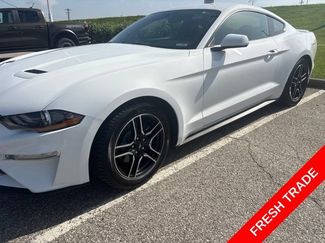 Used 2018 Ford Mustang Coupe w/ Equipment Group 101A RWD video 1