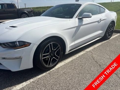 Used 2018 Ford Mustang Coupe w/ Equipment Group 101A RWD image 1