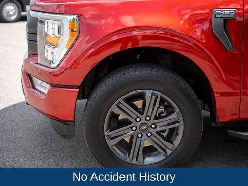 Used 2023 Ford F150 XLT w/ Equipment Group 302A High AWD/4WD image 10