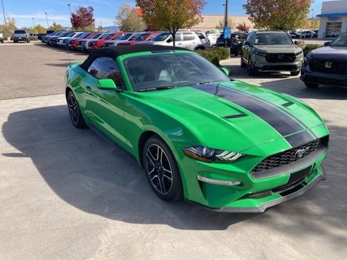Used 2019 Ford Mustang Premium w/ Equipment Group 201A image 4