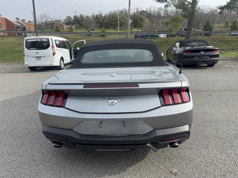 Used 2024 Ford Mustang Premium image 7