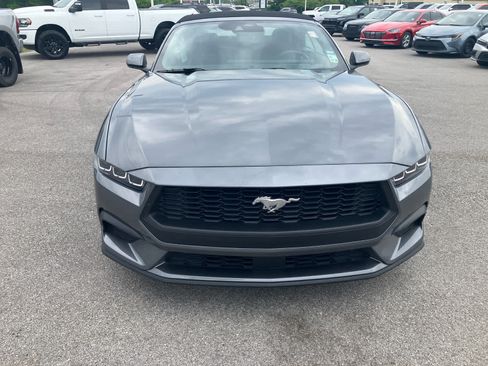 Used 2025 Ford Mustang Premium RWD image 2