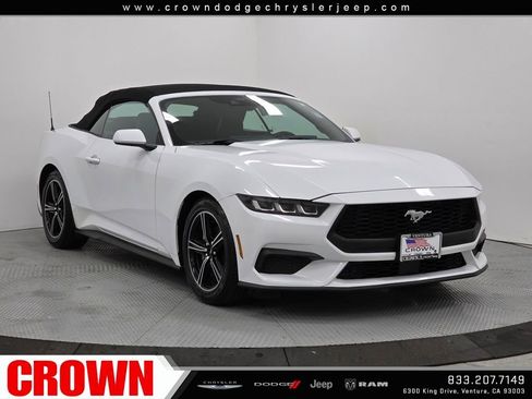Used 2024 Ford Mustang EcoBoost image 9