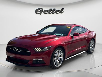 Used 2015 Ford Mustang Premium w/ Equipment Group 201A