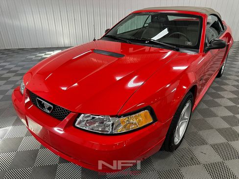 Used 2000 Ford Mustang GT image 6