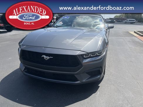 Used 2024 Ford Mustang Premium RWD image 5