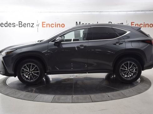 Used 2025 Lexus NX 350h AWD w/ Cold Area Package image 3