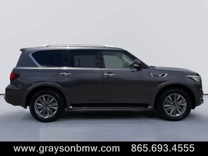 Used 2024 INFINITI QX80 Luxe