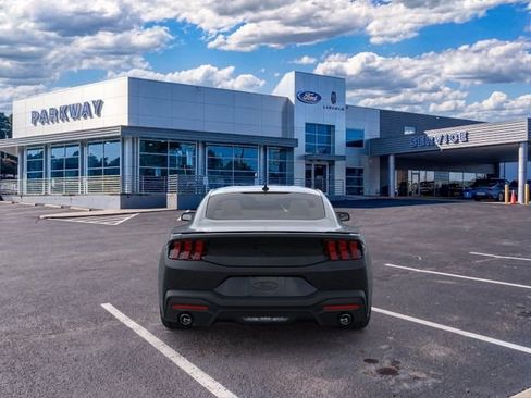 New 2026 Ford Mustang GT w/ Mustang Nite Pony Package RWD image 5