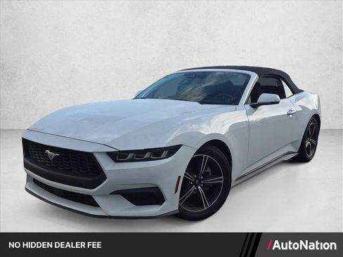 Used 2024 Ford Mustang Premium RWD image 1