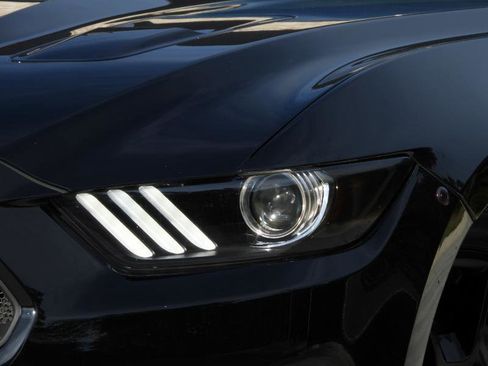 Used 2017 Ford Mustang GT w/ Black Accent Package RWD image 4