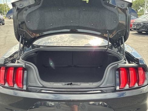 Used 2021 Ford Mustang GT w/ Equipment Group 301A RWD image 9