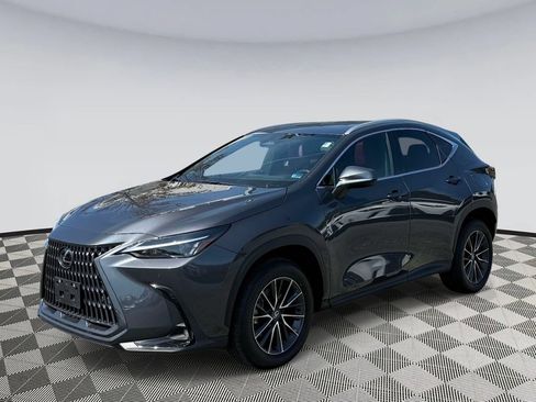 Used 2025 Lexus NX 350 AWD w/ Cold Area Package image 5