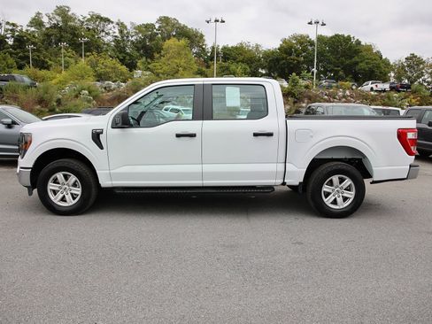 Certified 2023 Ford F150 XL w/ Trailer Tow Package image 4