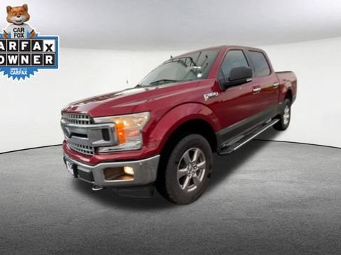 Used 2019 Ford F150 XLT w/ Equipment Group 302A Luxury AWD/4WD image 5