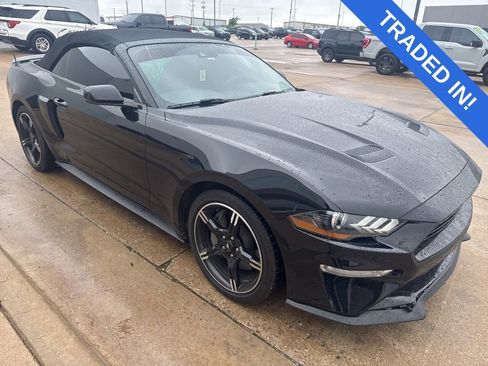 Used 2019 Ford Mustang GT Premium w/ Equipment Group 401A RWD image 1
