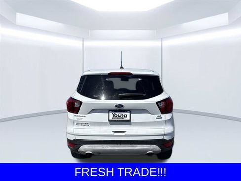 Used 2019 Ford Escape SE AWD/4WD image 6