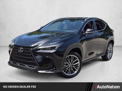 Used 2025 Lexus NX 350h AWD w/ Cold Area Package