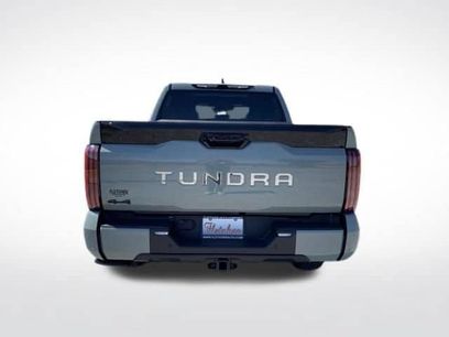 New 2026 Toyota Tundra Platinum