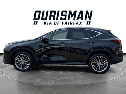 Used 2024 Lexus NX 350 AWD w/ Vision Package