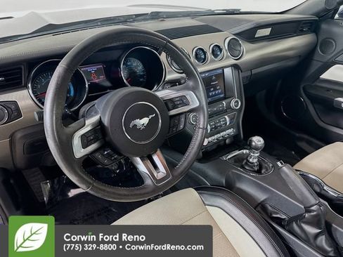 Used 2015 Ford Mustang 50 Years RWD image 9
