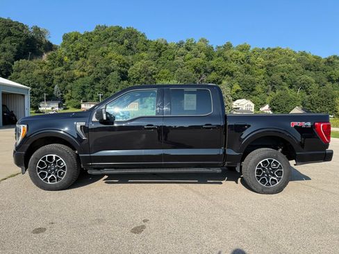 Used 2023 Ford F150 XLT w/ Equipment Group 302A High AWD/4WD image 8