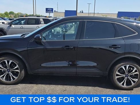 Used 2022 Ford Escape SEL w/ SEL Stealth AWD Package image 3