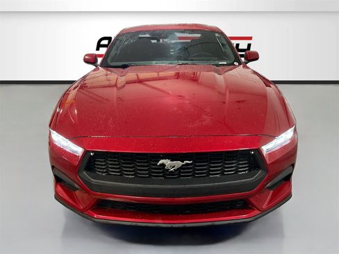 Used 2024 Ford Mustang EcoBoost image 2