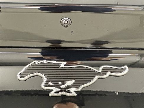 New 2025 Ford Mustang Mach-E Premium w/ Sport Appearance Package image 19