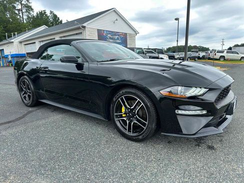 Used 2019 Ford Mustang Premium RWD image 2