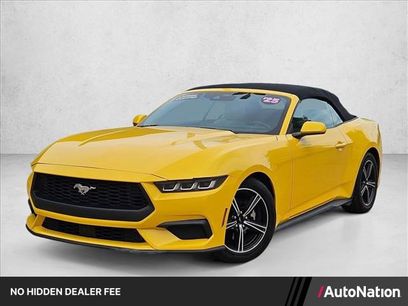 Used 2024 Ford Mustang Premium