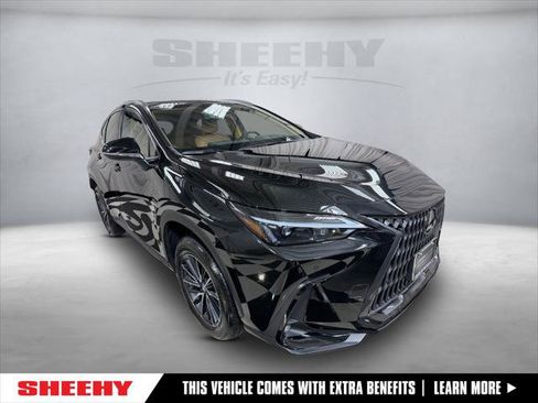 Certified 2024 Lexus NX 350h AWD image 1