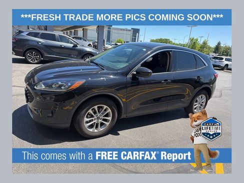Used 2020 Ford Escape SE FWD image 1