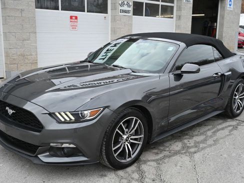 Used 2016 Ford Mustang Premium image 9