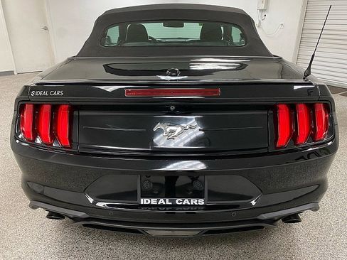 Used 2019 Ford Mustang Premium image 6