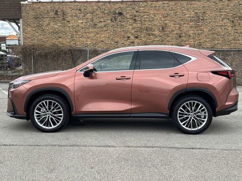 Certified 2025 Lexus NX 350h 350h Premium w/ Accessory Package (2T) image 8