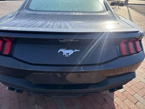 Used 2024 Ford Mustang Premium image 9