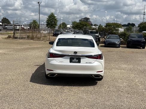 Used 2019 Lexus ES 350 w/ Accessory Package 2 FWD image 4